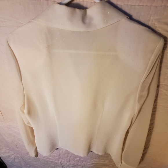 Karen Scott sheer blouse - Picture 4 of 8